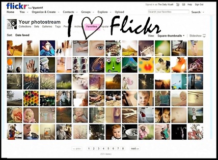 flickr flickr