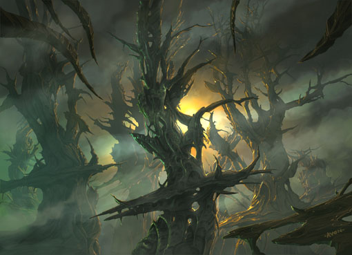 Forests de John Avon Forests de John Avon