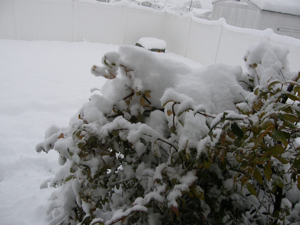 [20101121009_[3].jpg]