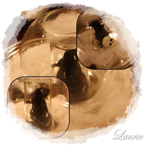[glass ball mos[2].jpg]