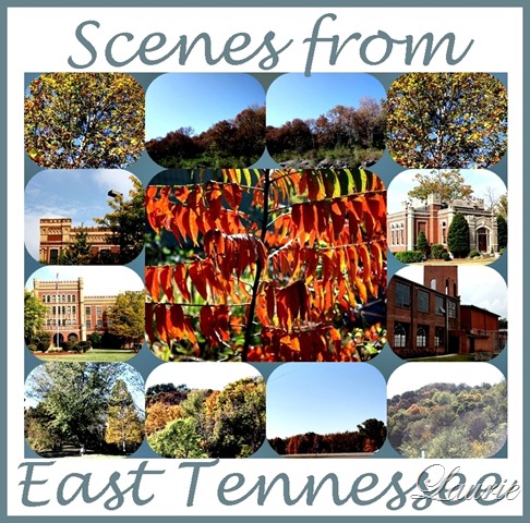 [scenes from e tn[2].jpg]