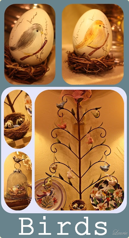 bird eggs-vert