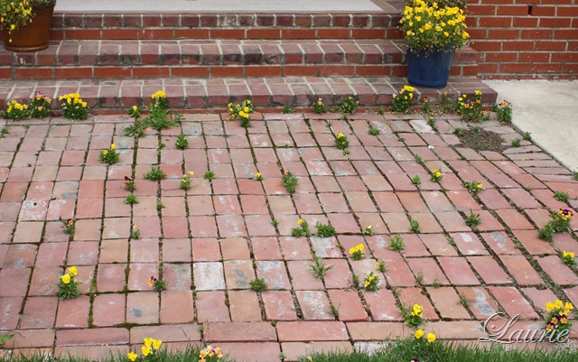 [bricks[1].jpg]