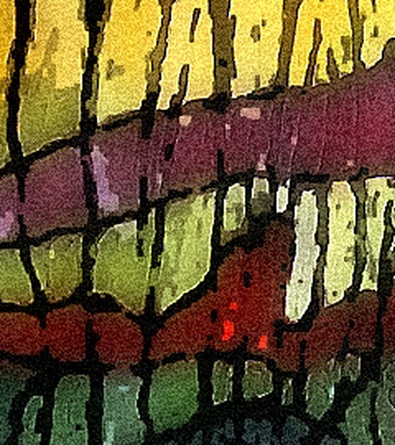NASA 9 altered crop