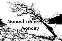 [Monochrome Monday[5].jpg]