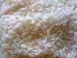 [rice[4].jpg]