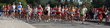 20081019- 112r.jpg