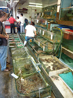 P1000849.JPG