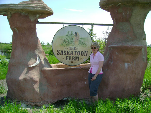 The Saskatoon Farm