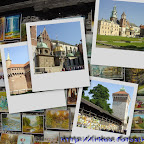 collage14a.jpg