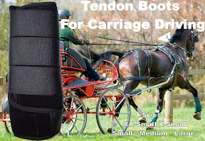 Carriage Driving Coloured Protective Tendon Boots Black
