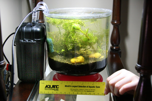Nano+tank+canister+filter