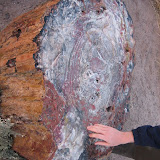 Petrified wood -- wood turns to stone after millions of years