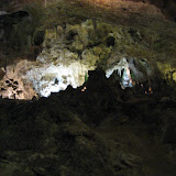 IMG_5667.JPG