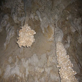 IMG_5675.JPG