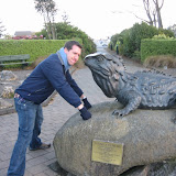 Looks like the tuatara won the stare down