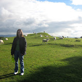 Katie with the sheep on our walk to One Tree Hill