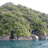 See the blue water on our Milford Sound cruise?