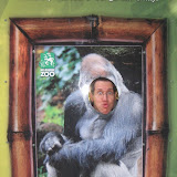 Hum . . . that gorilla reminds me of someone.