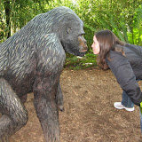 Katie stares down the gorilla.