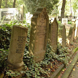 DSC_0181.JPG