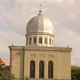 DSC_0342.JPG