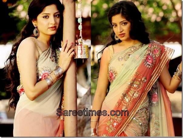 Poonam Kaur_Cream_Maroon_Designer_Saree