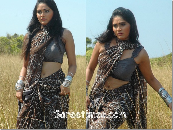Bianca_Desai_Brown_Saree