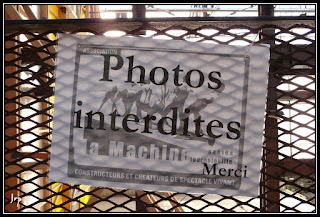 Une belle photo ? une bonne photo ? LA photo ?... Nantes-Oct08-097