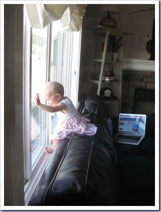 Picture 035