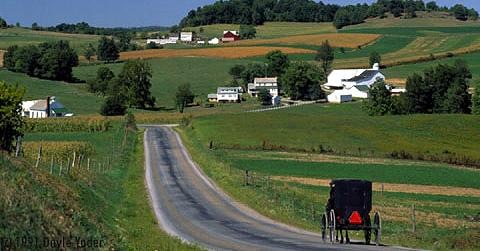 [Amish country[3].jpg]