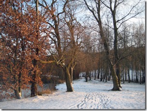 Maison Tranquille_Randonee_20090108_013