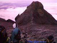 di puncak gunung2.jpg