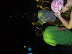 SNV33376.JPG