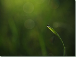 Beautiful droplet