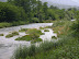 il fiume oglio presso piancogno