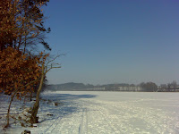 DSC03340.JPG Photo
