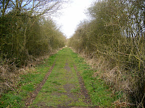 Ridges on Access Path
