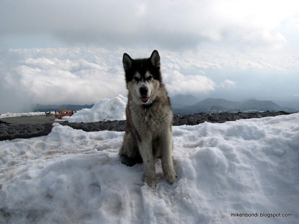 Bondi on Mt Etna
