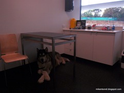 waiting in the surgery