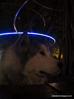 Munson gets his halo
