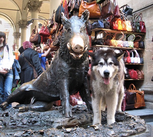 Bondi with Il Porcellino in Florence