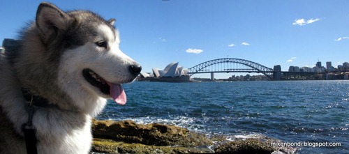 Sydney monuments