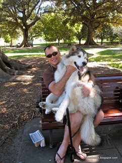 Munson the lap-dog