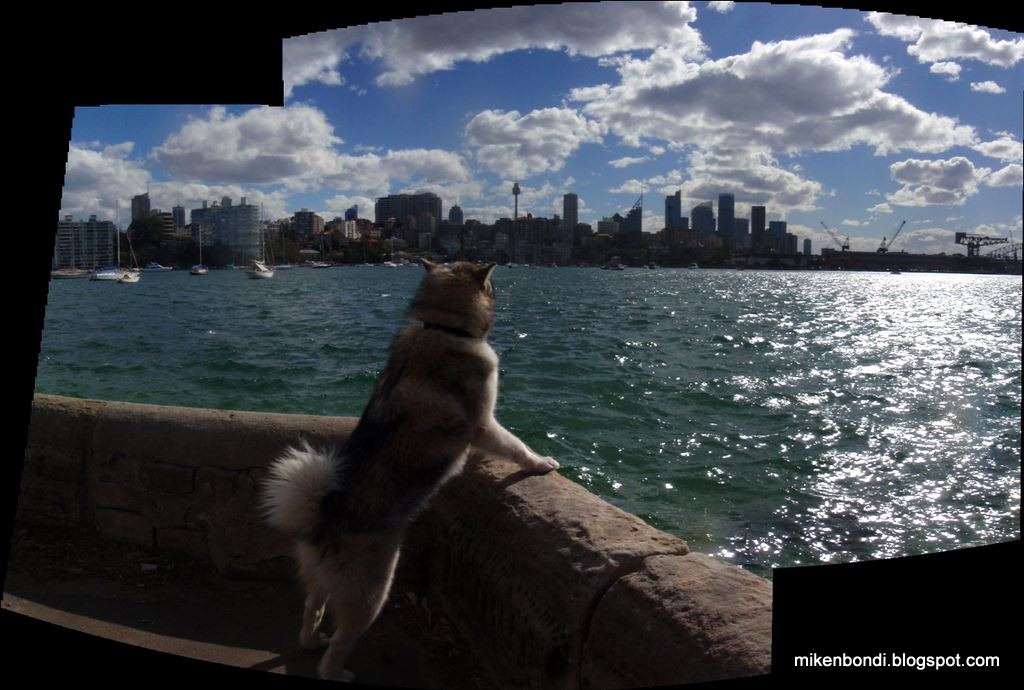 [P9260025+26_stitch[3].jpg]