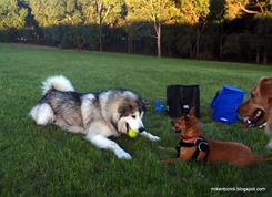 Munson & Rusty