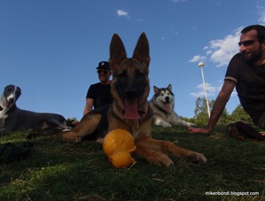 Pierre, Wilma and Munson
