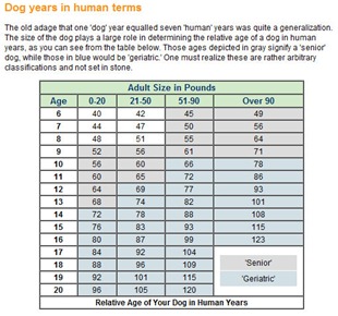 human weight chart