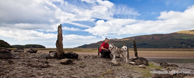 Mike and Munson - Mawddach Trail panorama