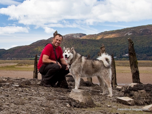 Mike and Munson - Mawddach Trail - close-up